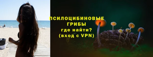 apvp Алексин
