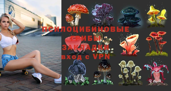 круглые Алексеевка