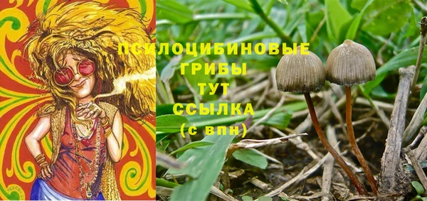 круглые Алексеевка