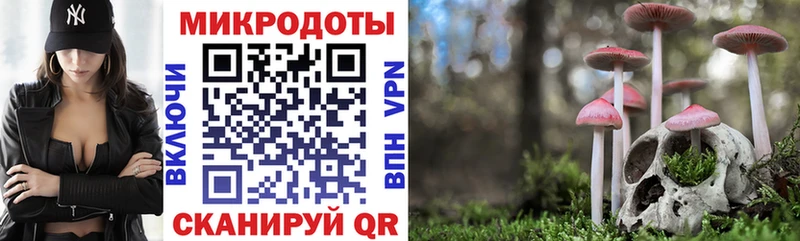 Псилоцибиновые грибы Psilocybine cubensis  Бакал 